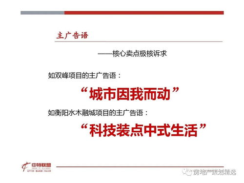 策划 房地产营销策划思路精髓.ppt