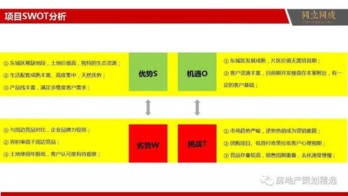 策划 房地产营销策划提案